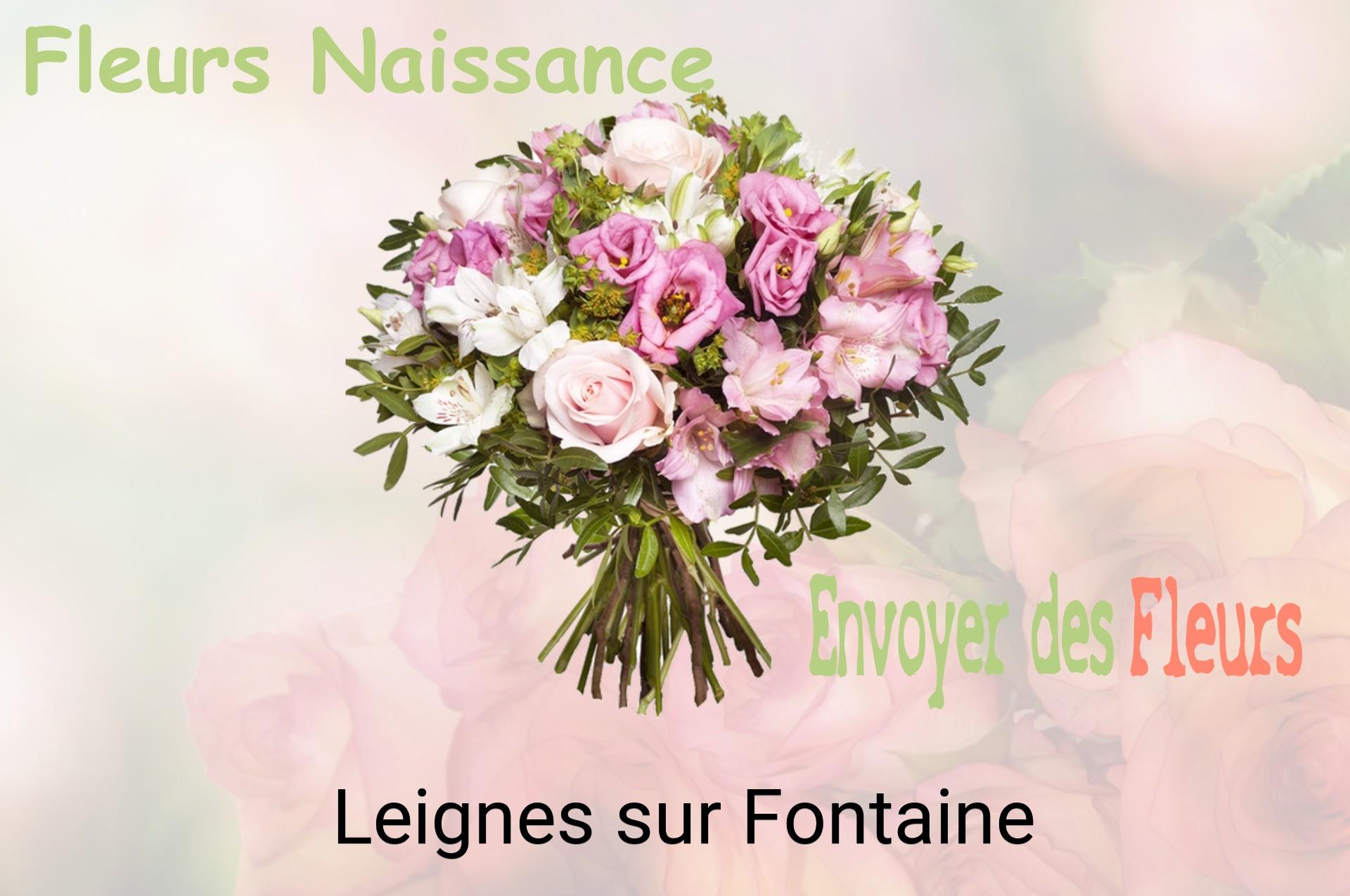 Bouquet de fleurs de naissance livré à Leignes-sur-Fontaine